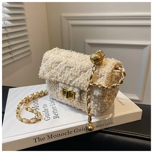 Detail of elegant beige tweed mini bag featuring golden buckle and chain strap on books