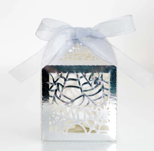 Detail showing the intricate laser-cut spider web pattern on silver party favor box