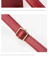 Detail view of red leather bag with gold buckle hardware and adjustable strap buckles