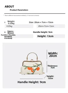 Détail du sac brodé blanc avec poignée en perles et spécifications de taille