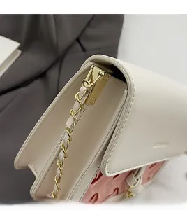Detail of pink woven crossbody bag featuring premium gold hardware and leather flap chain strap