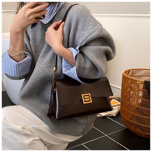 Close-up of deep brown leather shoulder bag with a gold S-shaped buckle and accordion side