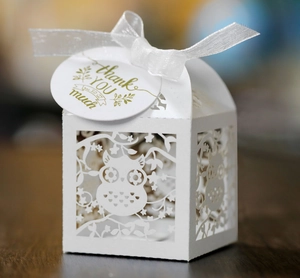 Detail showing laser-cut owl pattern on white pearlescent paper gift box with ribbon