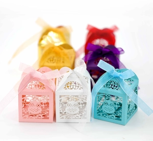 Detailed laser-cut owl favor boxes with elegant organza ribbons in various colors