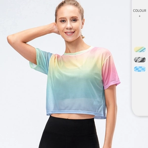 Women's Loose Quick Dry Breathable Sport T-Shirt Mesh Yoga Top Fitness Crop Top Running Gym Outdoor Workout Apparel