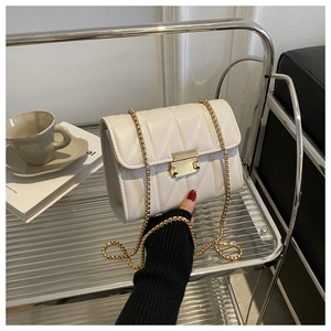Detailed shot of beige quilted chain bag with gold metal clasp and elegant texture