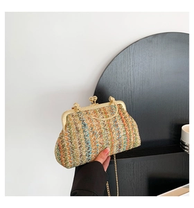 Detail of colorful woven chain bag with gold metal clasp and vintage shell texture