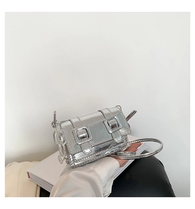 Detail of silver metallic crossbody bag with dual buckles and resin chain strap