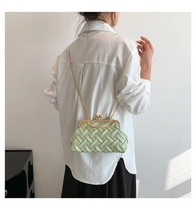 Detail of light green woven texture on a handbag with vintage gold metal clasp and chain
