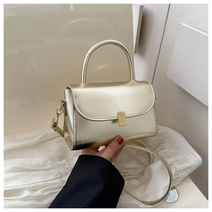 Detail of champagne gold mini bag featuring metallic finish and golden square buckle