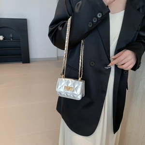 Chic silver quilted mini chain bag with gold twist lock for trendy shoulder crossbody wear