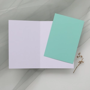 Vue à plat d'une carte d'invitation vert menthe avec insert blanc sur un filet doux