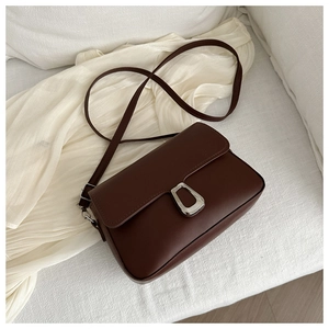 Detailed view of silver horseshoe buckle on dark brown leather crossbody bag with strap