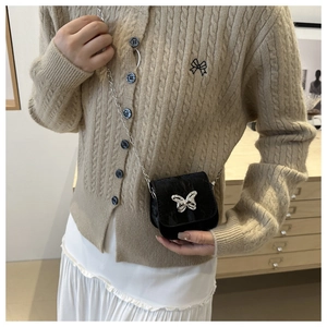 Mini zwarte crossbody tas met zilveren vlindergesp en kettingriem gedragen door model