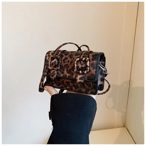 Close-up of leopard print mini crossbody bag with square buckles and silver hardware