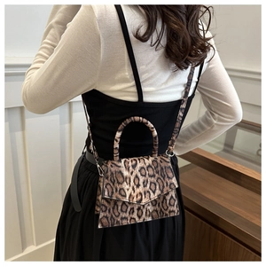 Leopard print crossbody bag with silver hardware worn by model in a modern room