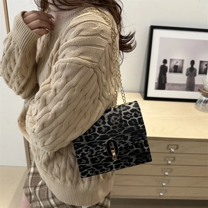 Chic leopard print crossbody bag with gold chain strap and metallic clasp closure