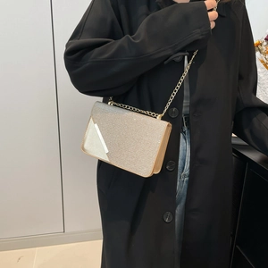 Champagne gold sequin crossbody bag with chain strap and metallic trim on a model