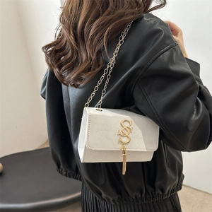 Minimalist white small square bag with golden double S logo and tassel chain strap