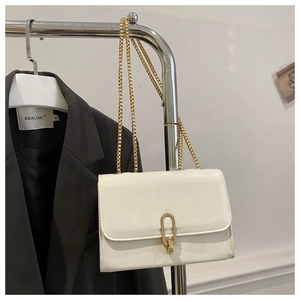 Close-up of sleek cream chain bag with gold oval buckle on a dark suit background