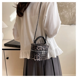 Chic leopard print box bag shown with silver chain strap on a model in a cozy interior