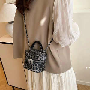 Vintage leopard print box bag with silver chain strap and leather handle for women