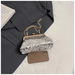 Detailed macro of silver sequin evening bag with gold metal clasp and luxury chain