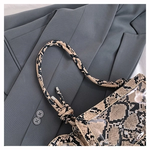 Close-up of snakeskin pattern leather and transparent PVC stitching on the small square bag