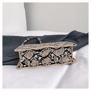 Detail shot of snakeskin texture on mini square bag with beige leather trim and sides