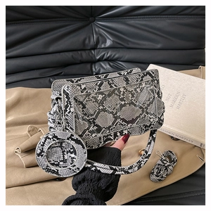 Detailansicht der Handtasche mit Schlangenmuster, Metallkette und kleinem Münzfach