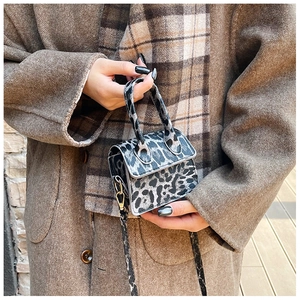Detailed view of leopard print mini square bag with metallic hooks and crossbody strap
