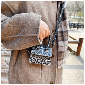 Detailed view of leopard print mini crossbody bag with gold hardware on a model outdoors