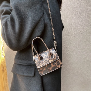 Mini leopard print crossbody bag for women with woven strap on black coat