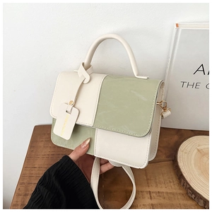 Close-up of a sage green and cream patchwork leather crossbody bag with golden hardware