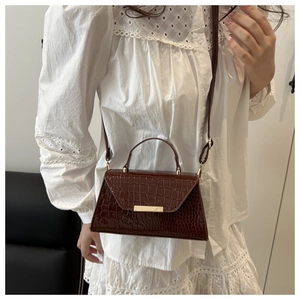 Détail de la texture crocodile marron foncé et barre en métal doré sur le petit sac carré