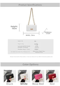 Detailed size specifications and color options for the patent leather mini box bag