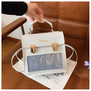 Close-up of white retro handbag with golden push locks and transparent mesh window detail