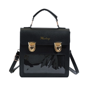 Structured black handbag with gold locks, brand logo, and unique PVC transparent window