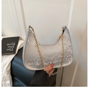 Dettaglio della borsa hobo con trama a serpente argento e tracolla a catena dorata