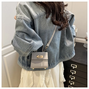 Detail of light gray crocodile texture mini crossbody bag with gold metallic clasp buckle