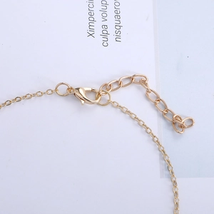Detail of light gold lobster clasp and adjustable extension chain with droplet pendant