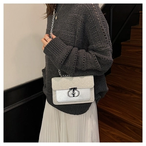 Detail of silver sequin crossbody bag with chain strap and metallic buckle on model