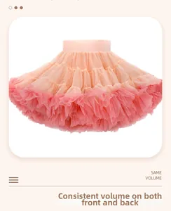 Detail showing the multi-layered gradient pink tutu skirt with high volume mesh layers