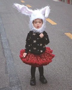 Détail d'une tenue de fête pour fille avec gilet noir à étoiles et jupe tutu rouge