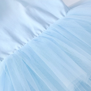 Détail du corsage bleu clair doux et du tulle multicouche de la robe de ballet