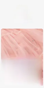 Détails du jupon tutu rose avec tissu en maille douce et taille élastique ajustée