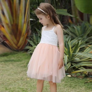 Detail of white lace bodice and layered pink mesh tutu on summer girls' dress