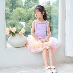 Detail of multi-colored tulle tutu skirt and purple pleated camisole on a little girl