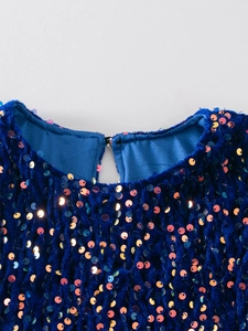 Detail of round neckline and sequined velvet fabric with back button closure