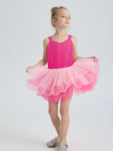 Pink ballet tutu dress for girls featuring slim straps and layered mesh skirt with silver shoes